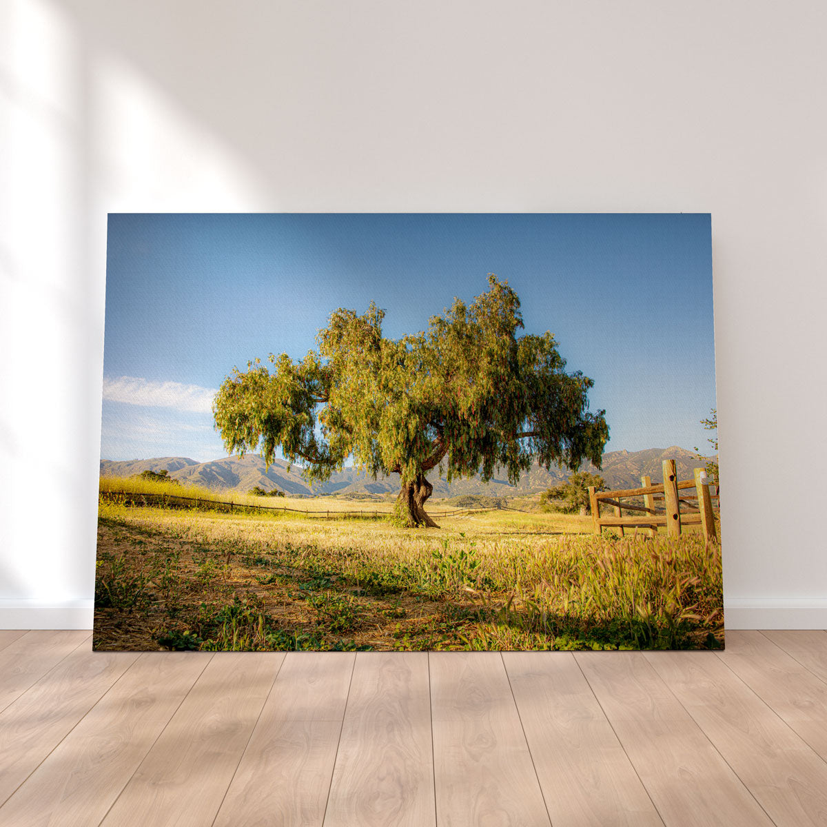 San Marcos Foothills Wall Art