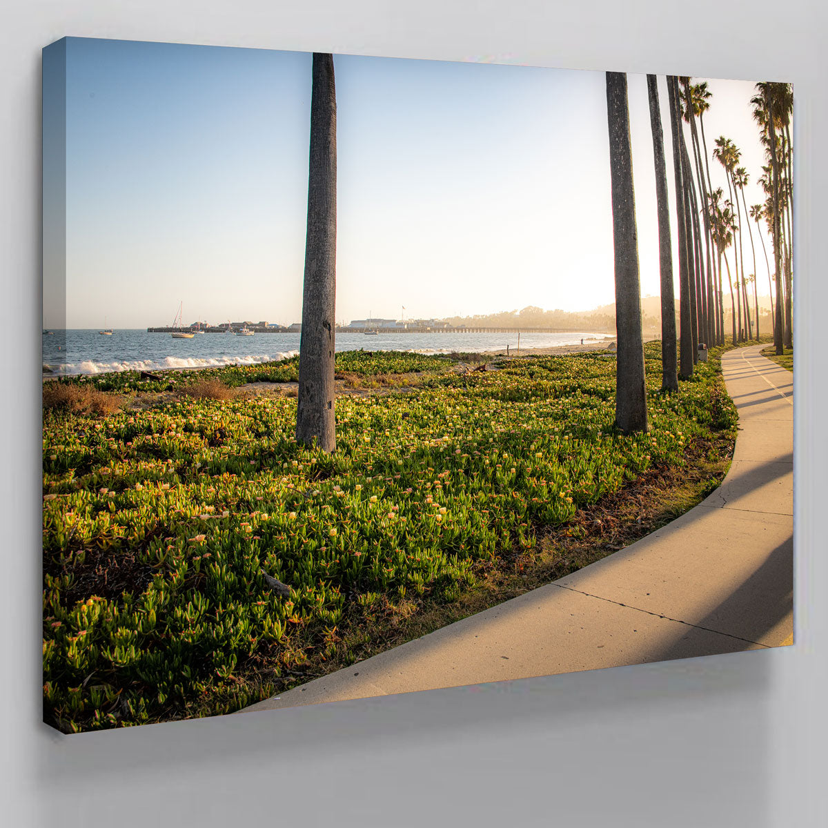 Santa Barbara Bike Path Wall Art