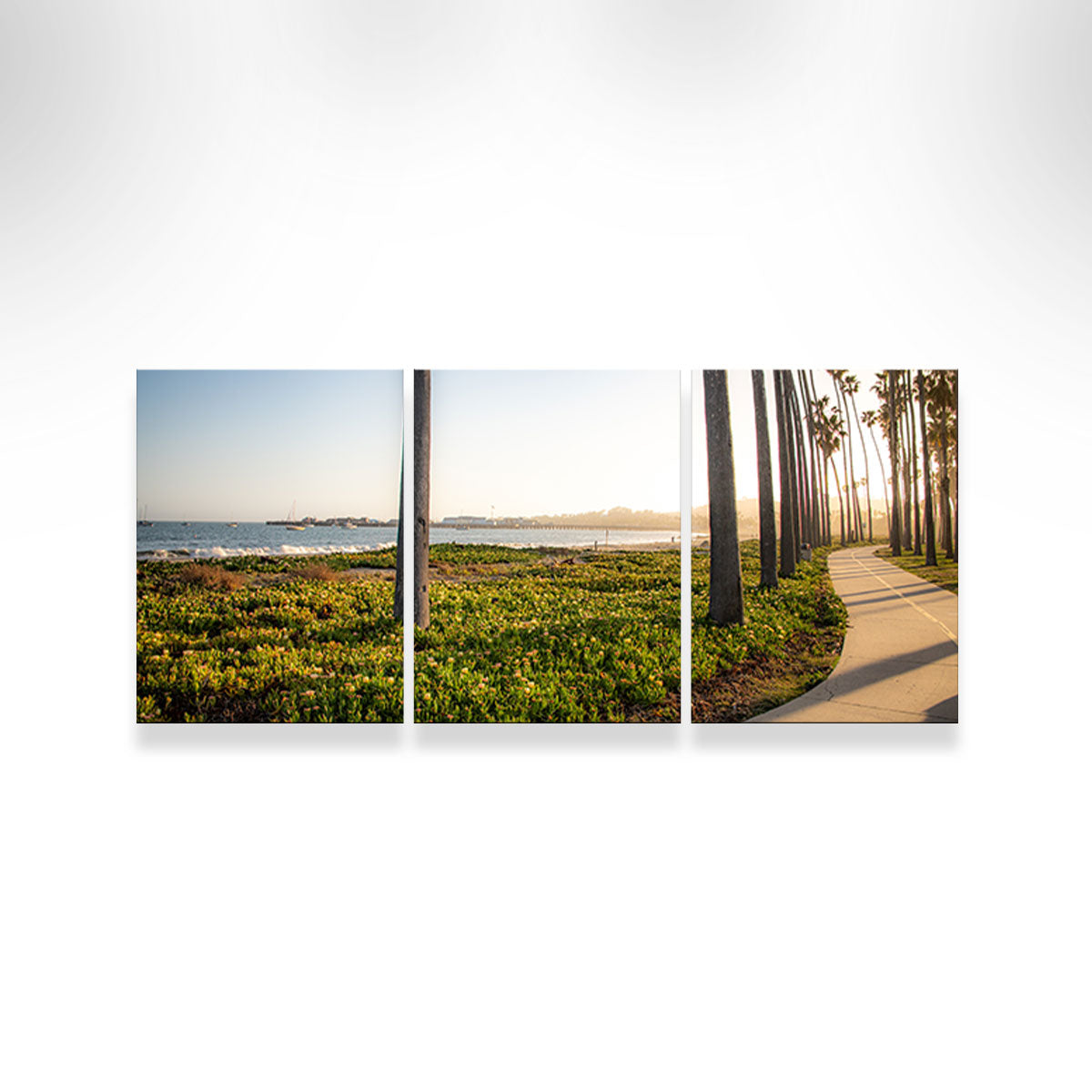 Santa Barbara Bike Path Wall Art