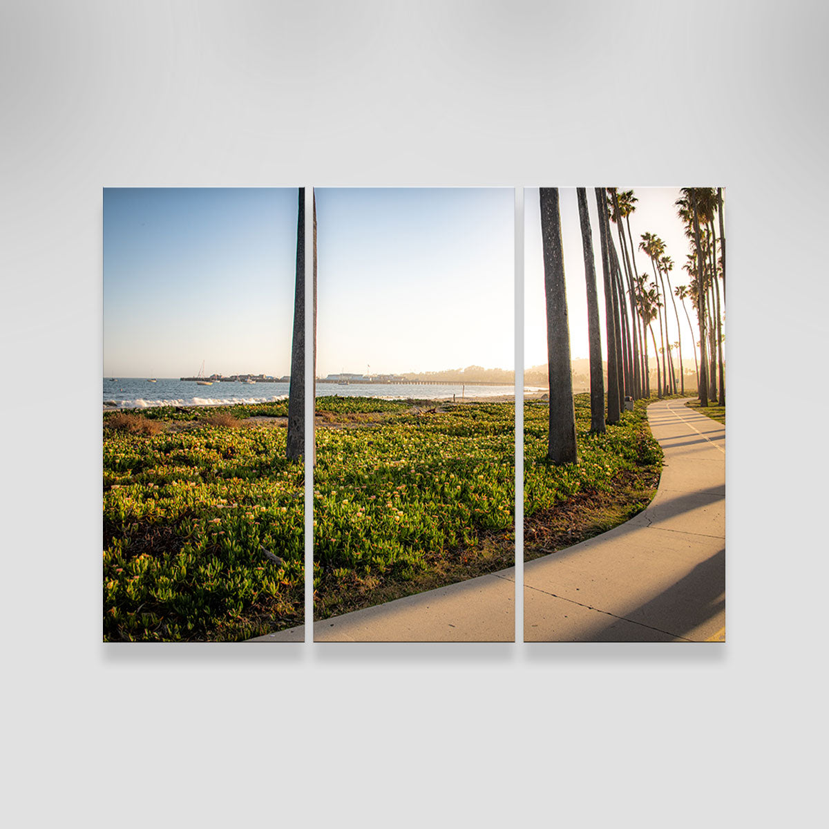 Santa Barbara Bike Path Wall Art