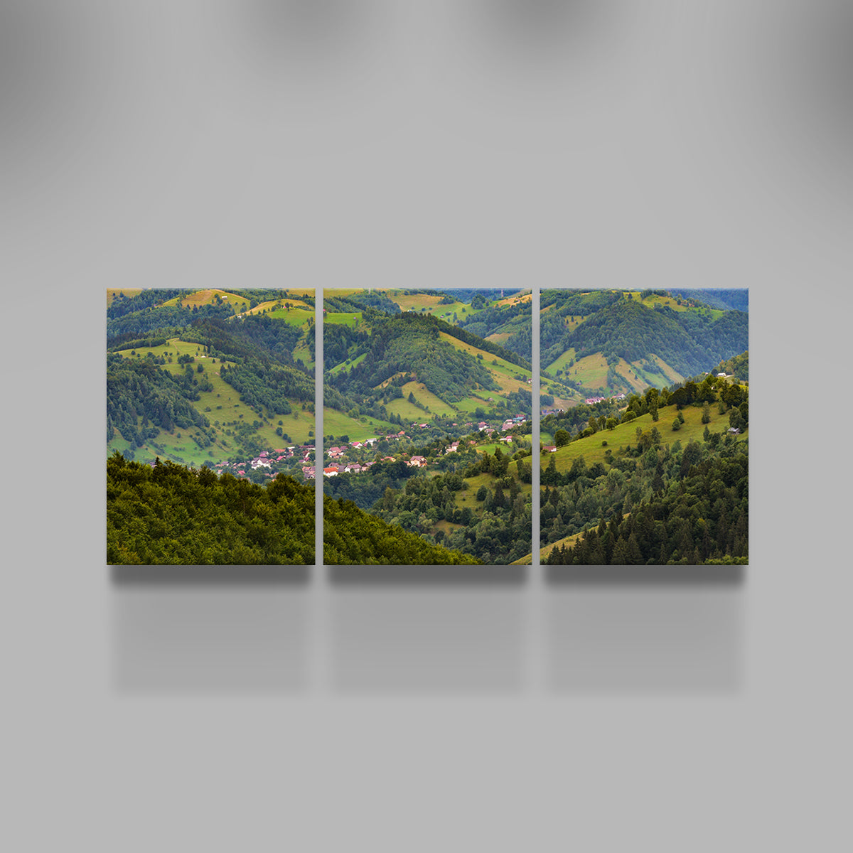 Sat Moeciu de Jos Romania Wall Art