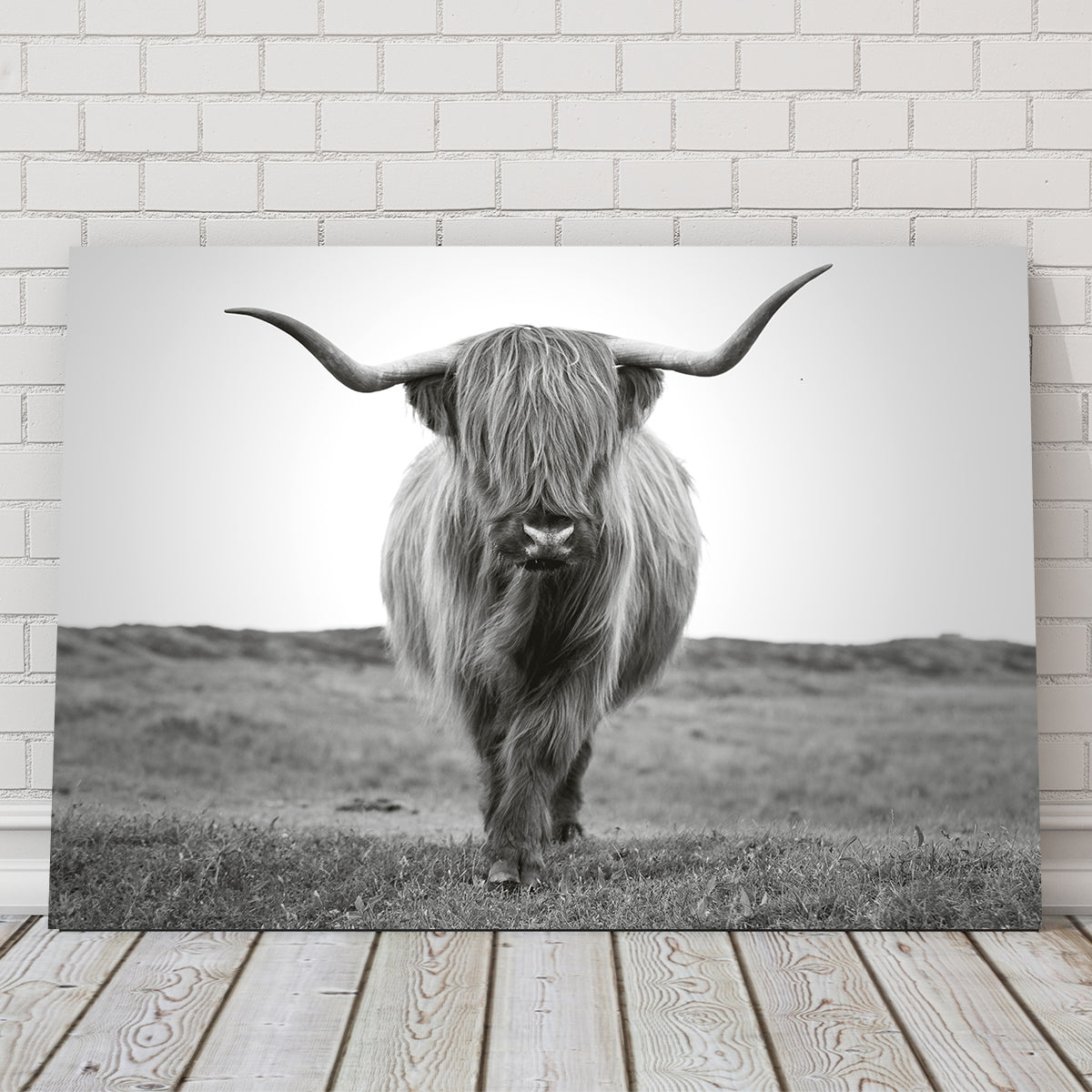 Scottish Bull Wall Art