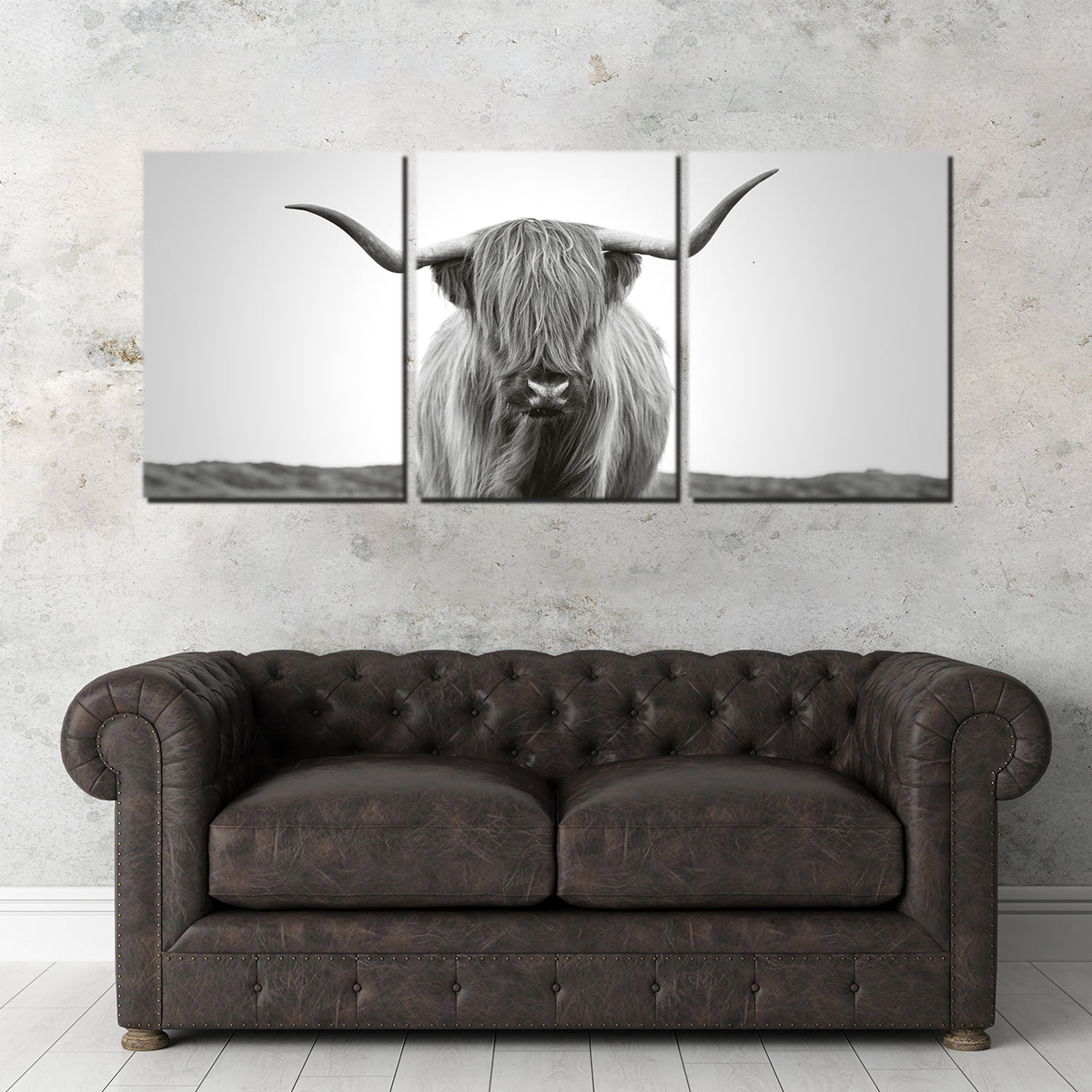 Scottish Bull Wall Art