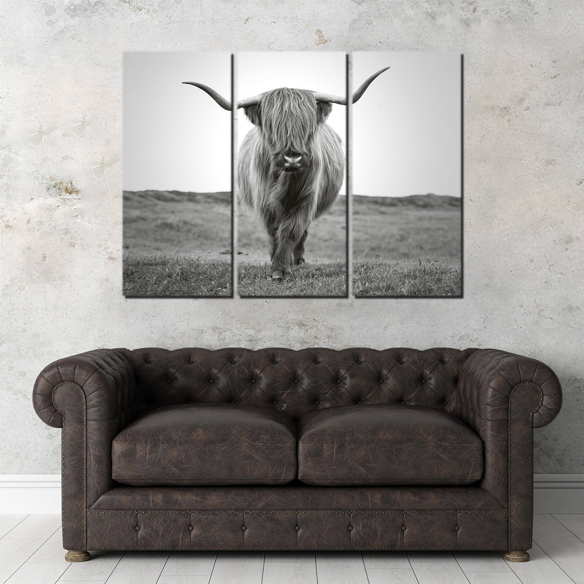 Scottish Bull Wall Art