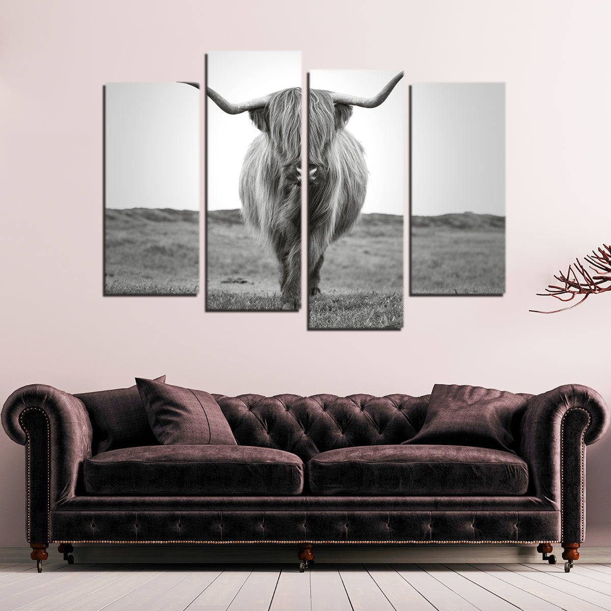 Scottish Bull Wall Art