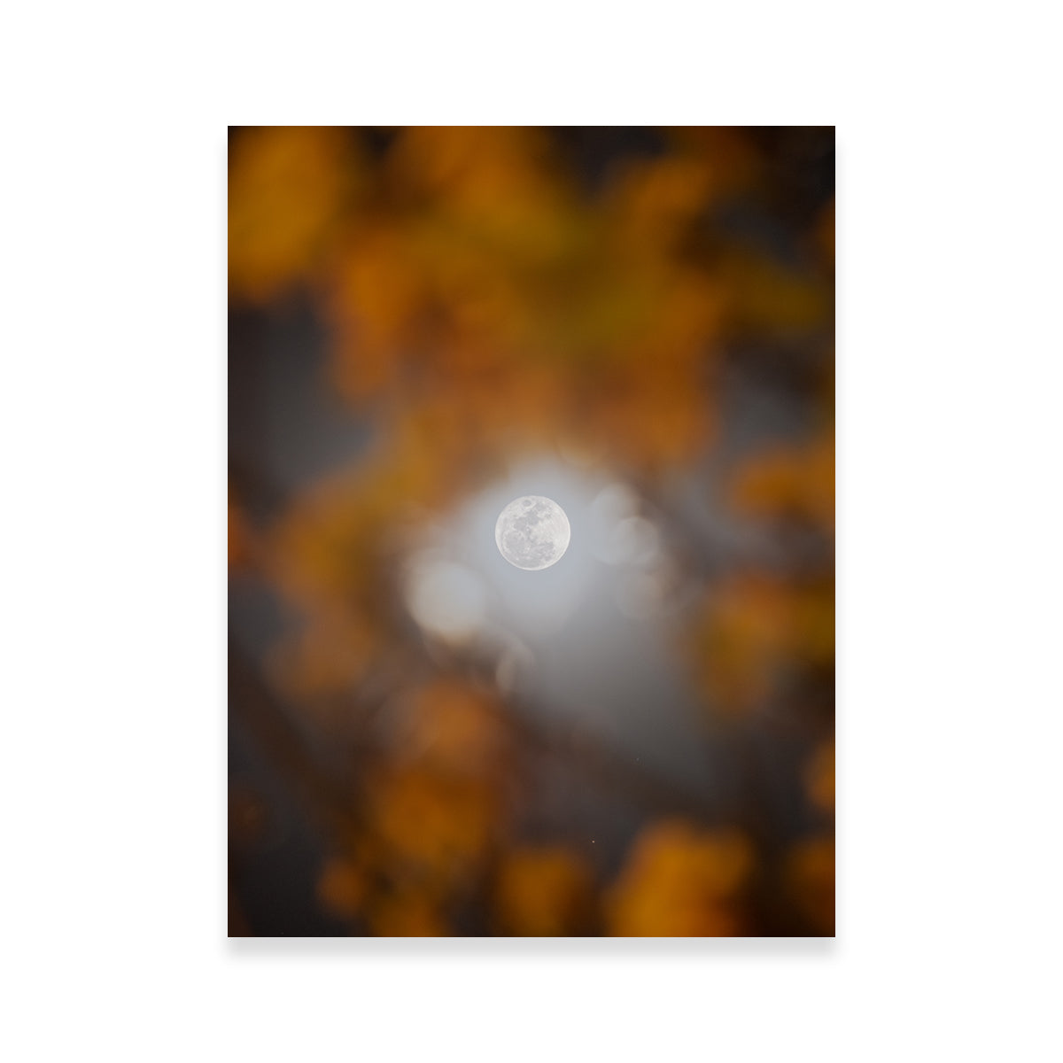 Selene and Yellow Ipê Wall Art