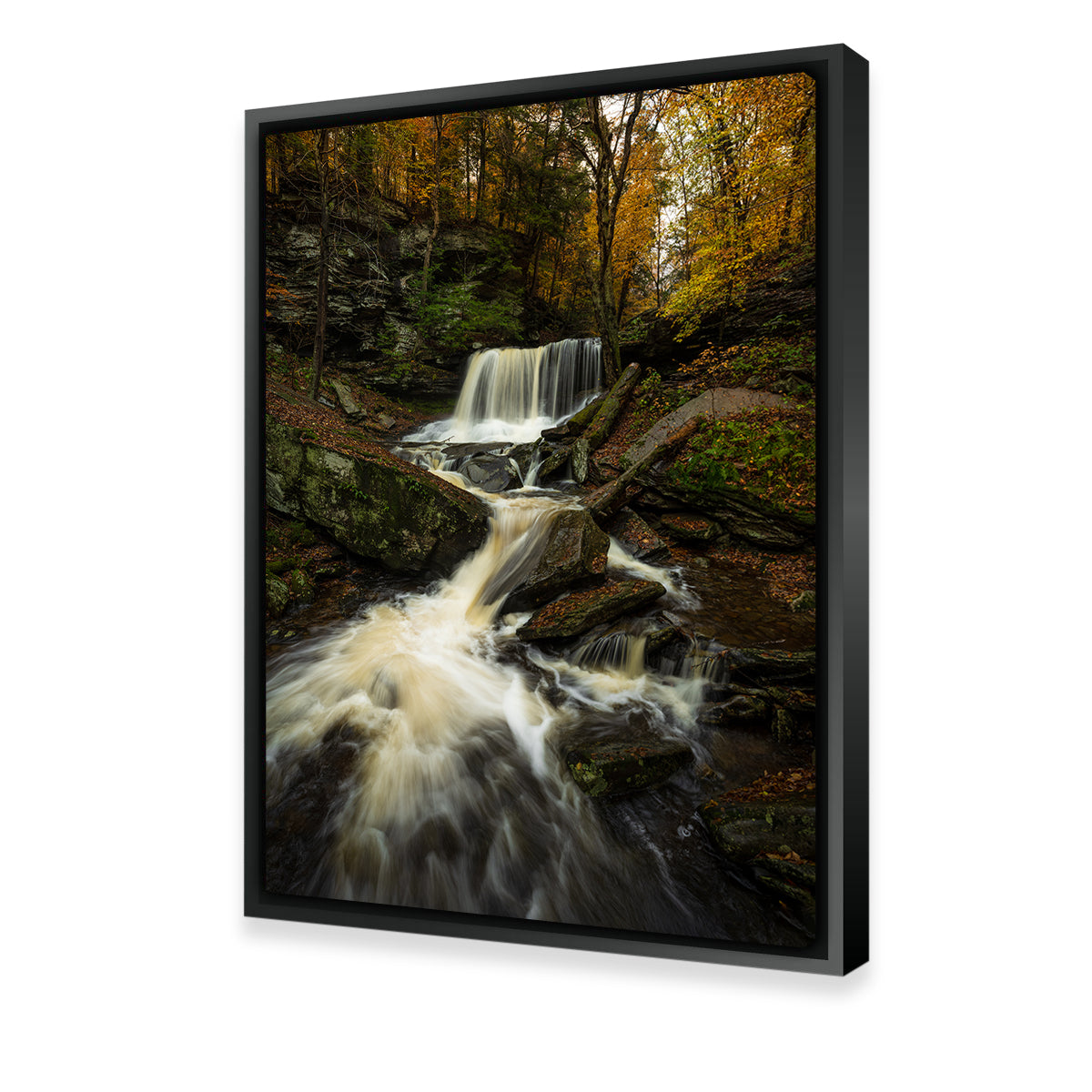 Serenity Now Wall Art