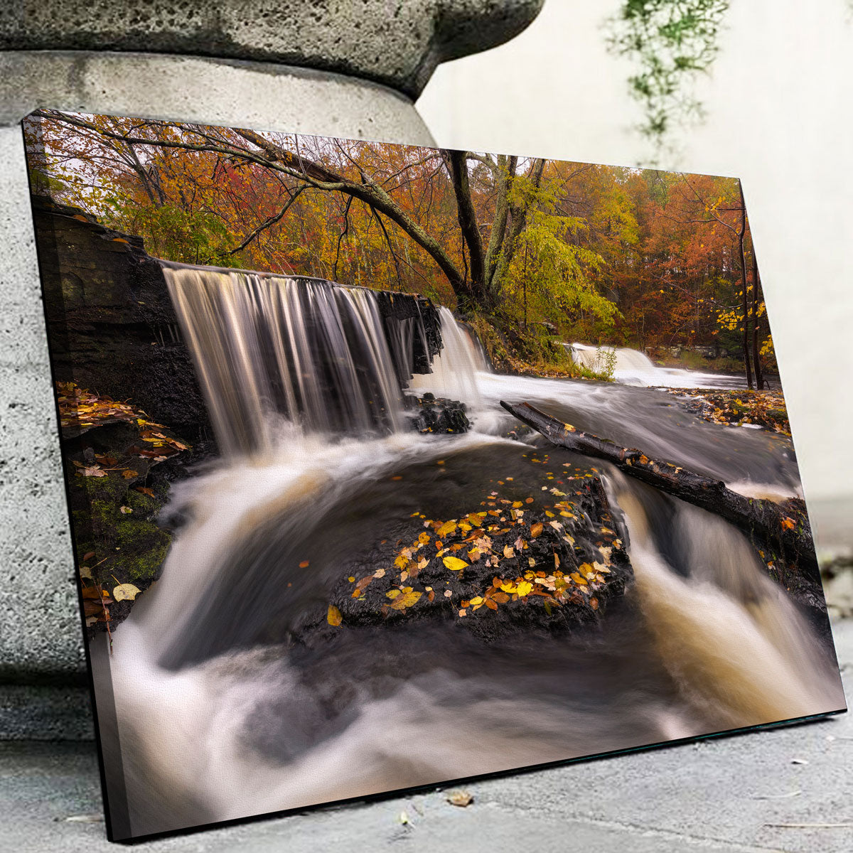 Side Stepping Wall Art