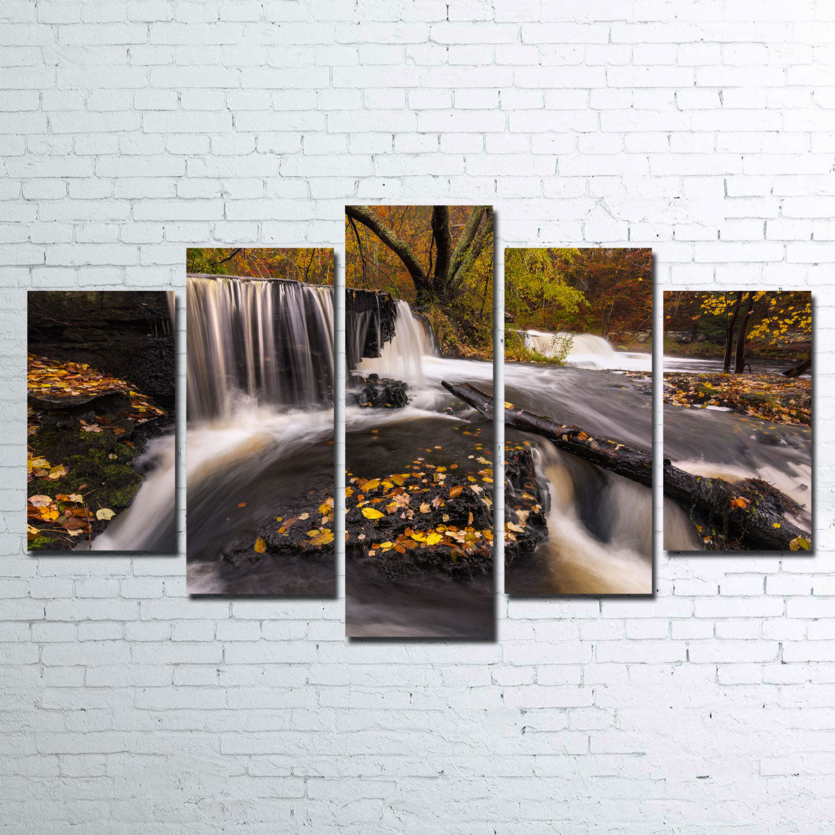 Side Stepping Wall Art