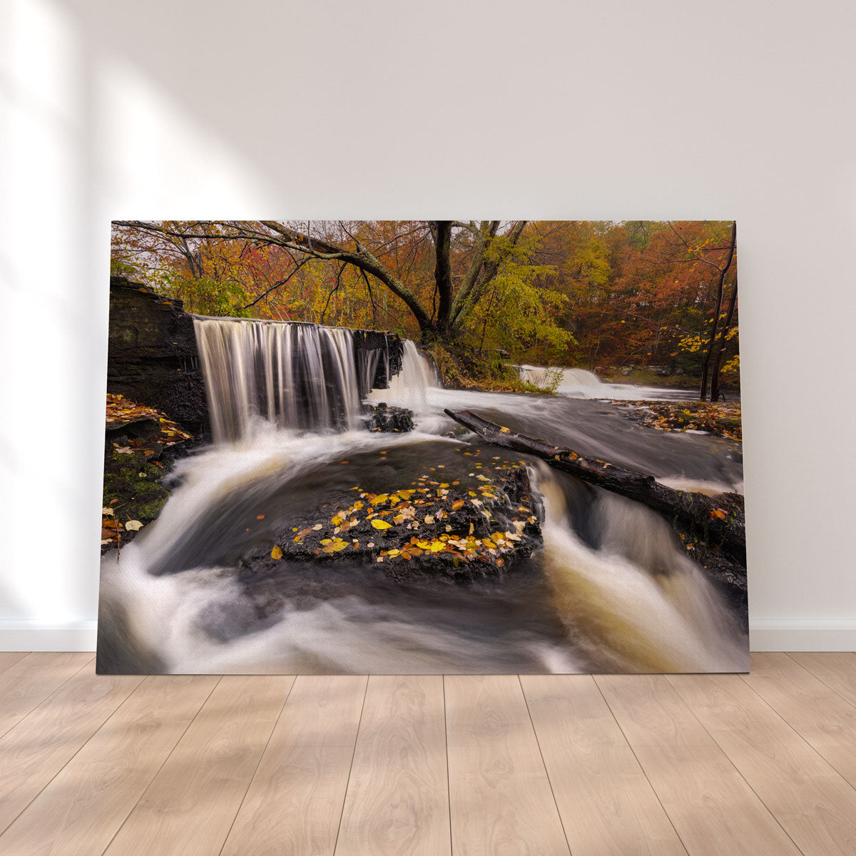 Side Stepping Wall Art