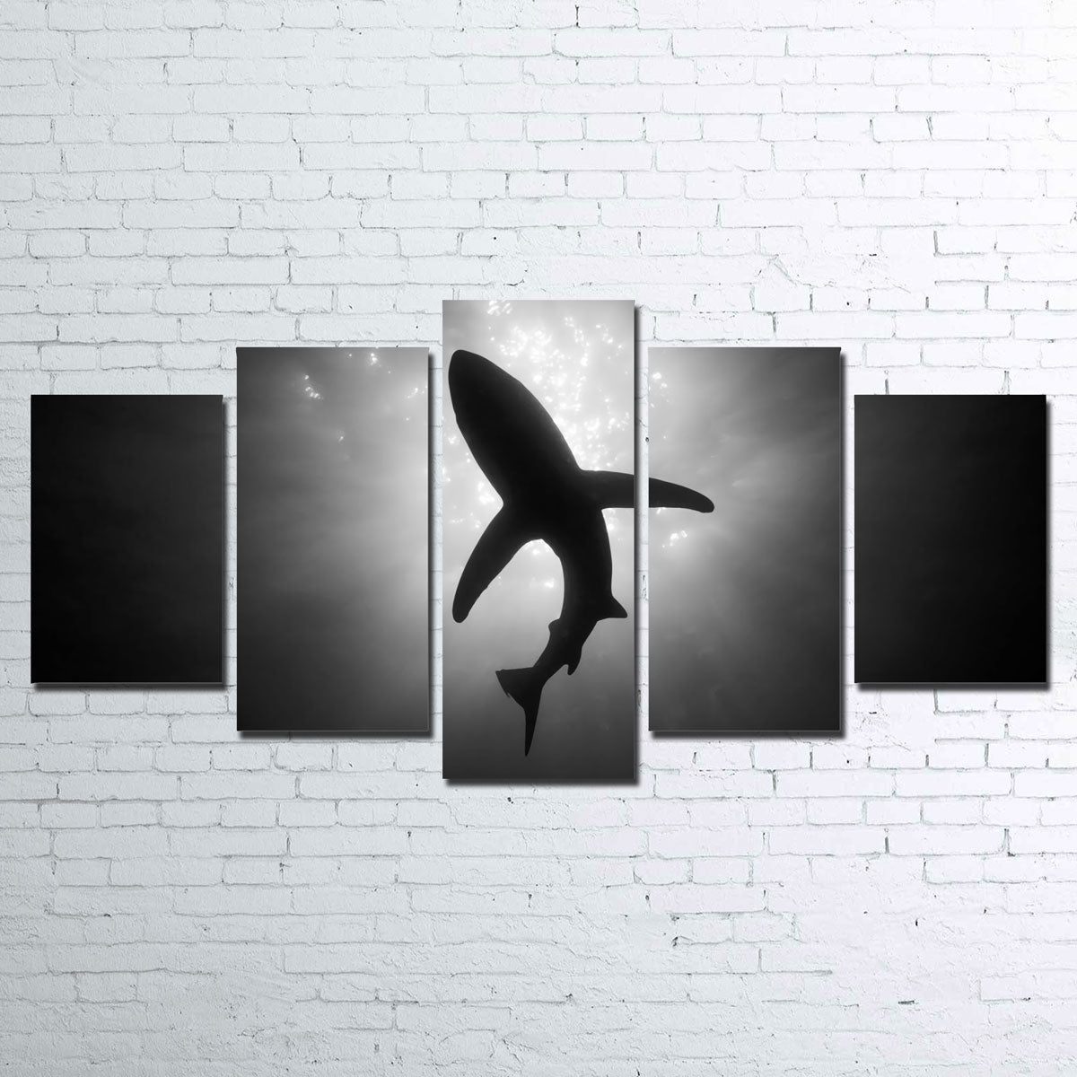 Shark Silhouette Canvas Set