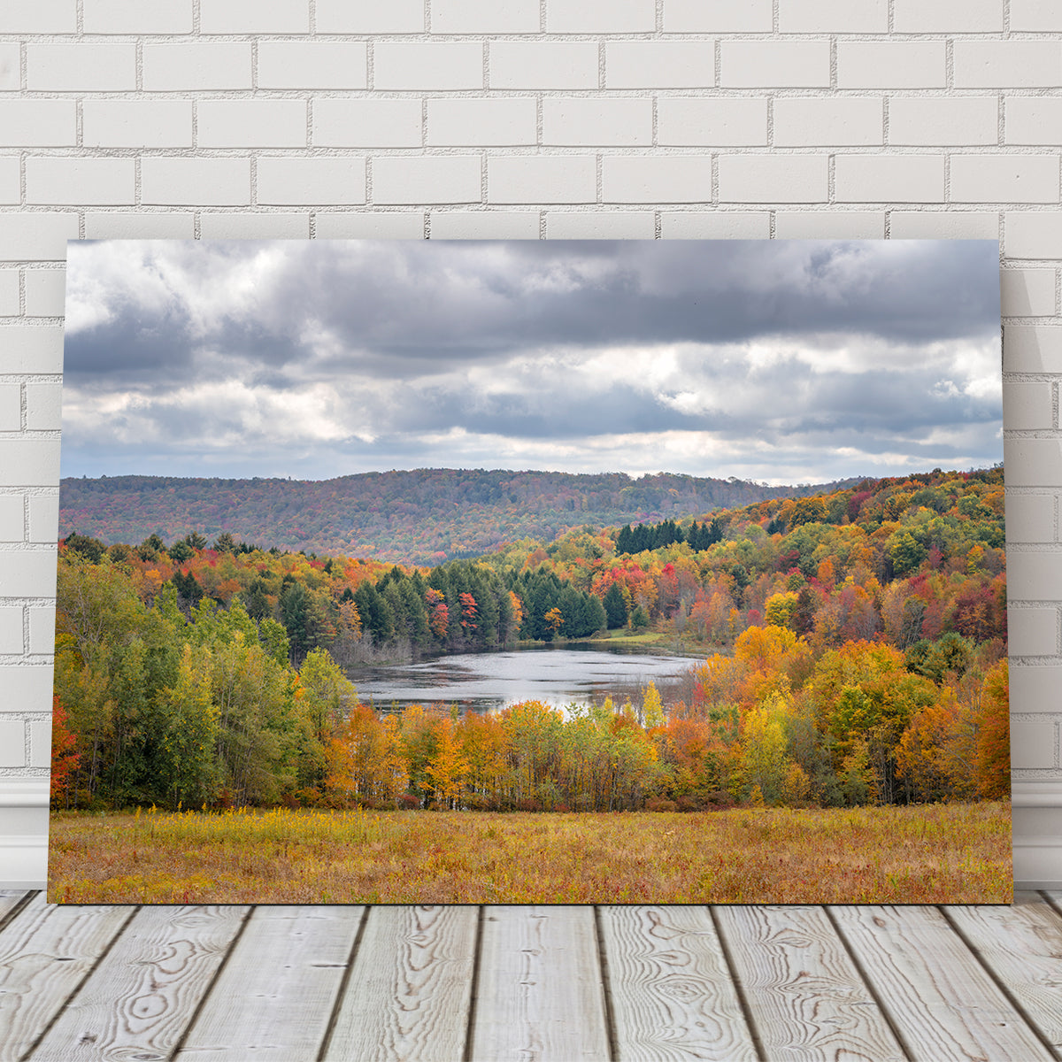 Shark Fin Pond Wall Art