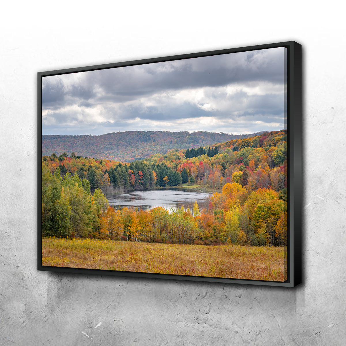 Shark Fin Pond Wall Art