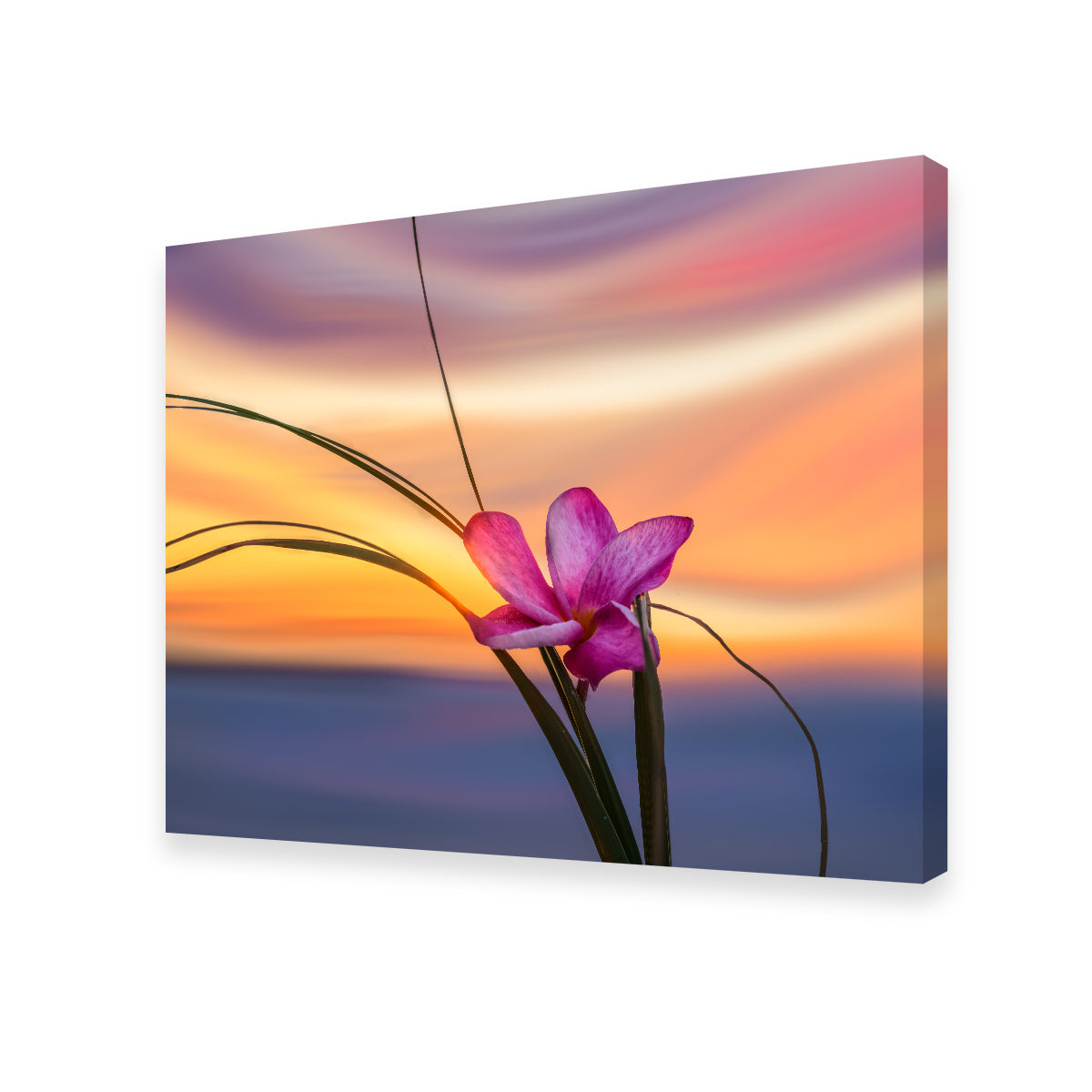 She Loves Me Wall Art