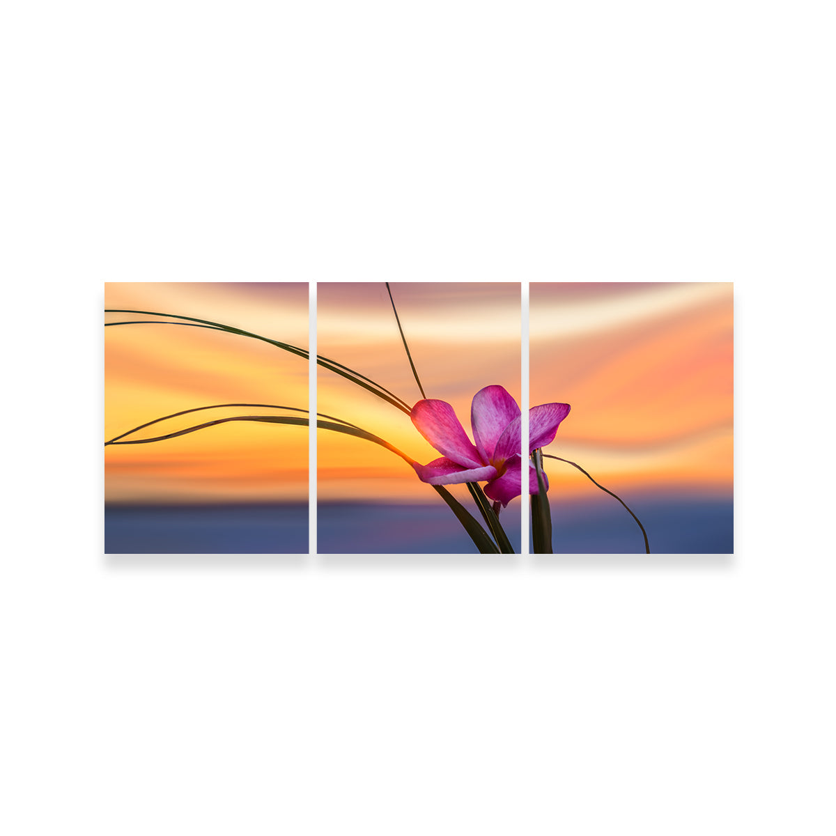 She Loves Me Wall Art