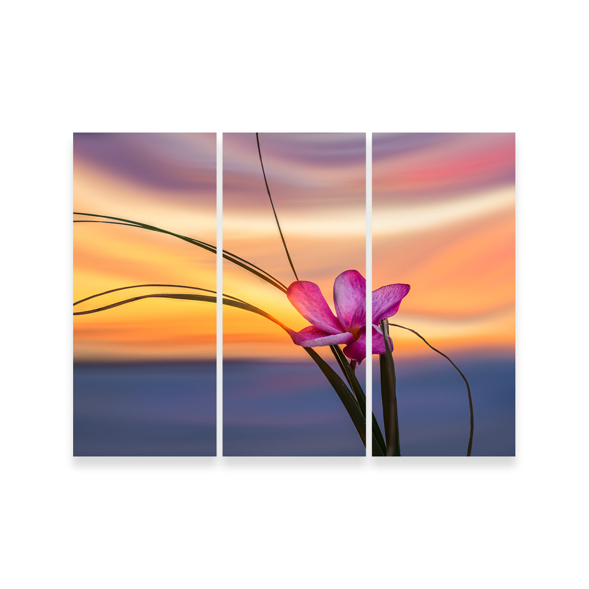 She Loves Me Wall Art