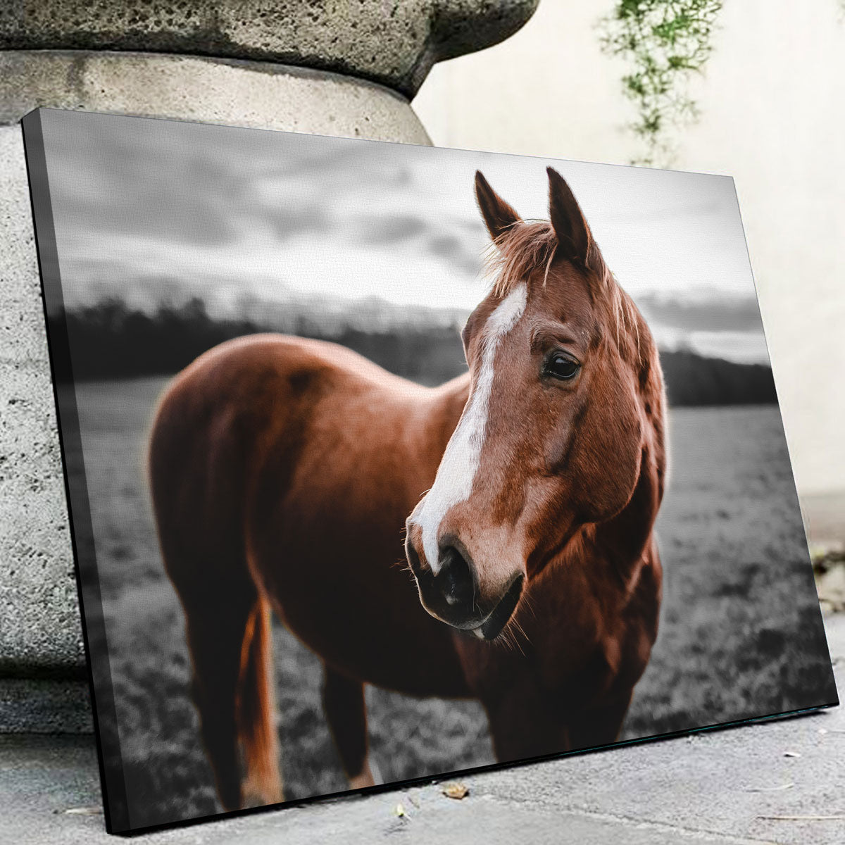 Shining Horse Wall Art