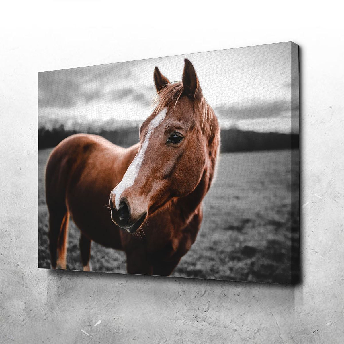 Shining Horse Wall Art