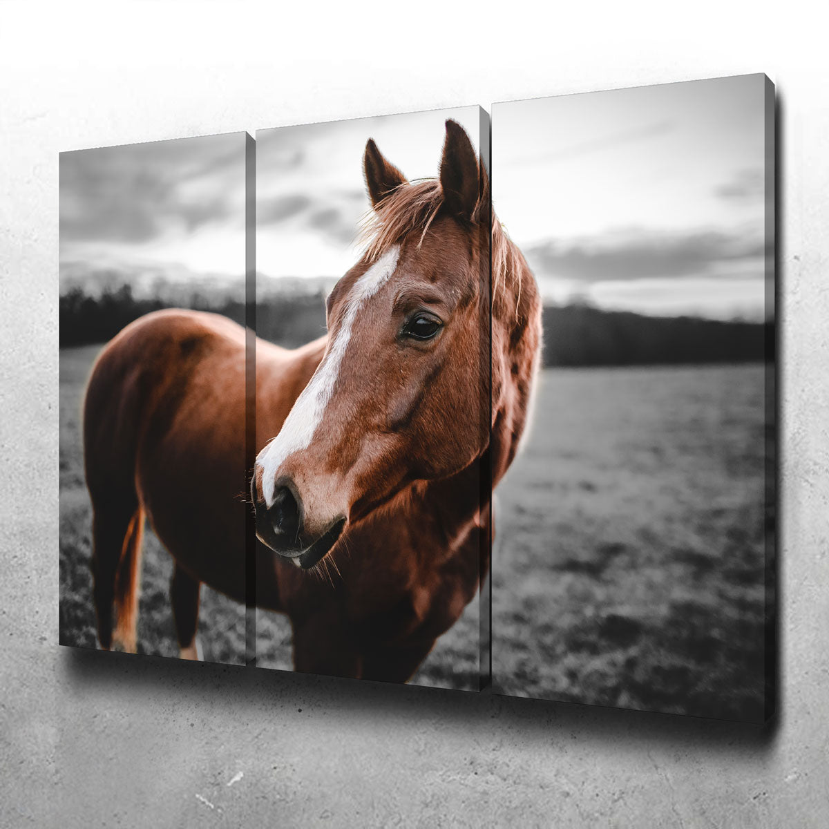 Shining Horse Wall Art