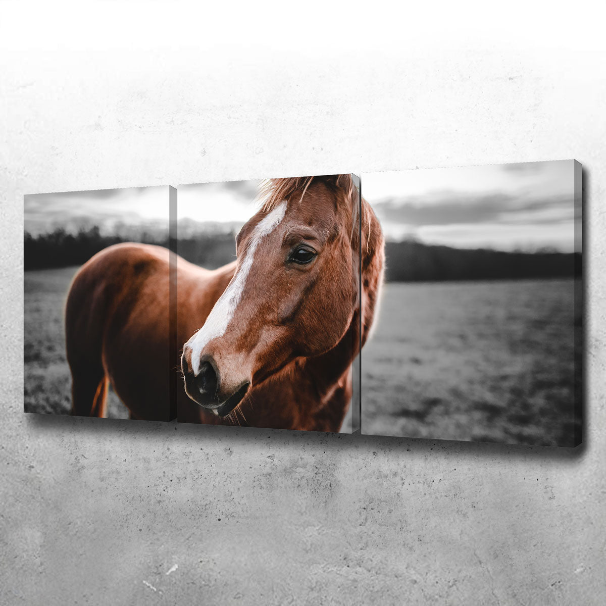 Shining Horse Wall Art