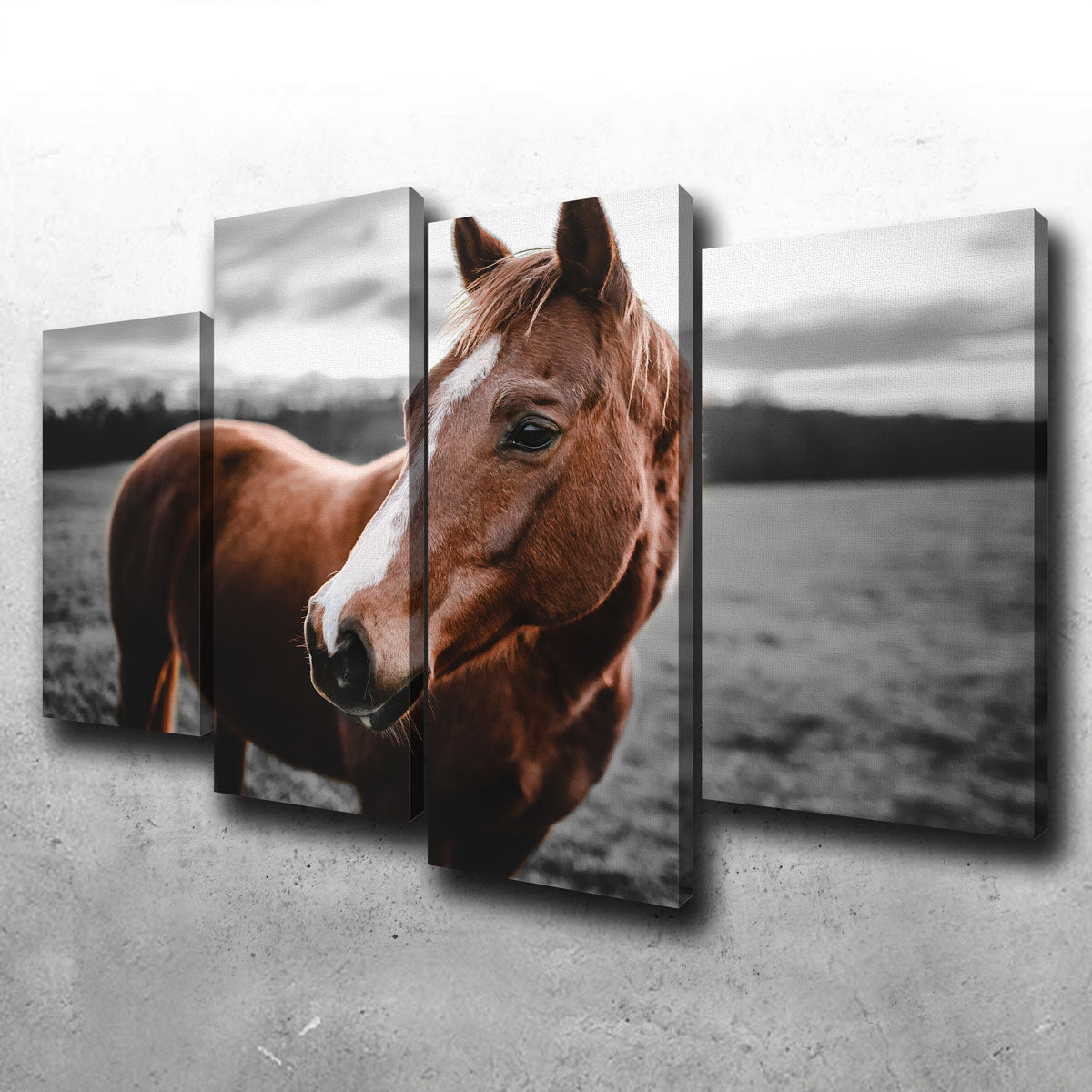 Shining Horse Wall Art