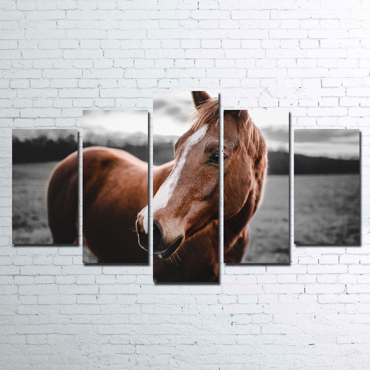 Shining Horse Wall Art
