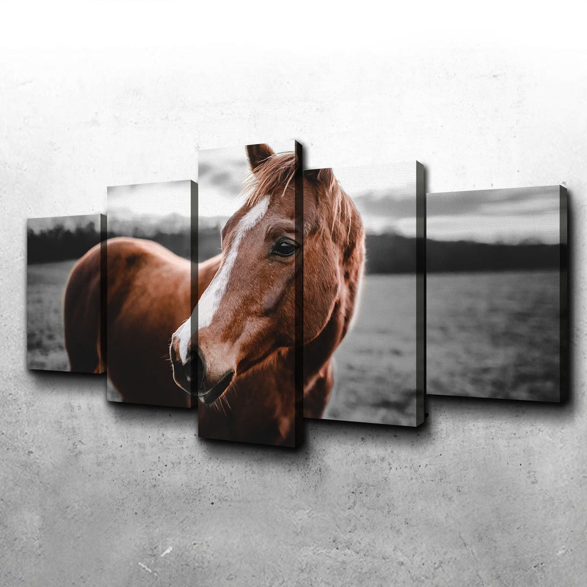 Shining Horse Wall Art