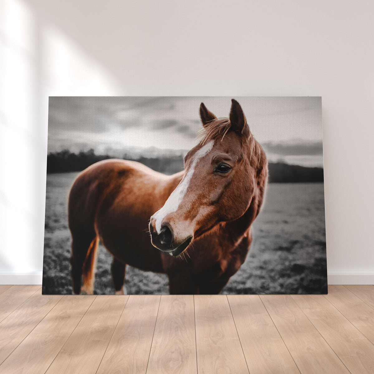 Shining Horse Wall Art