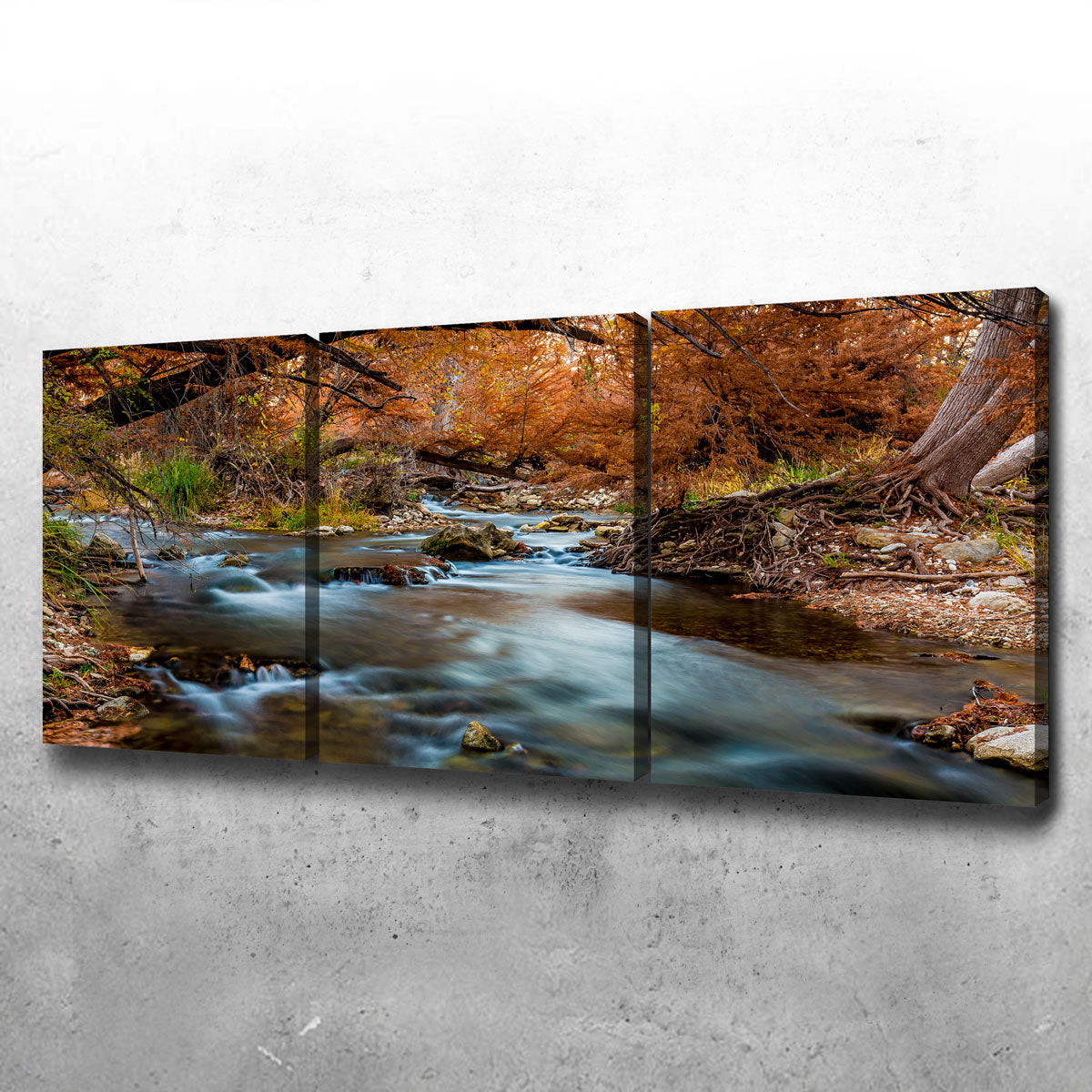 Silky Guadalupe River Wall Art