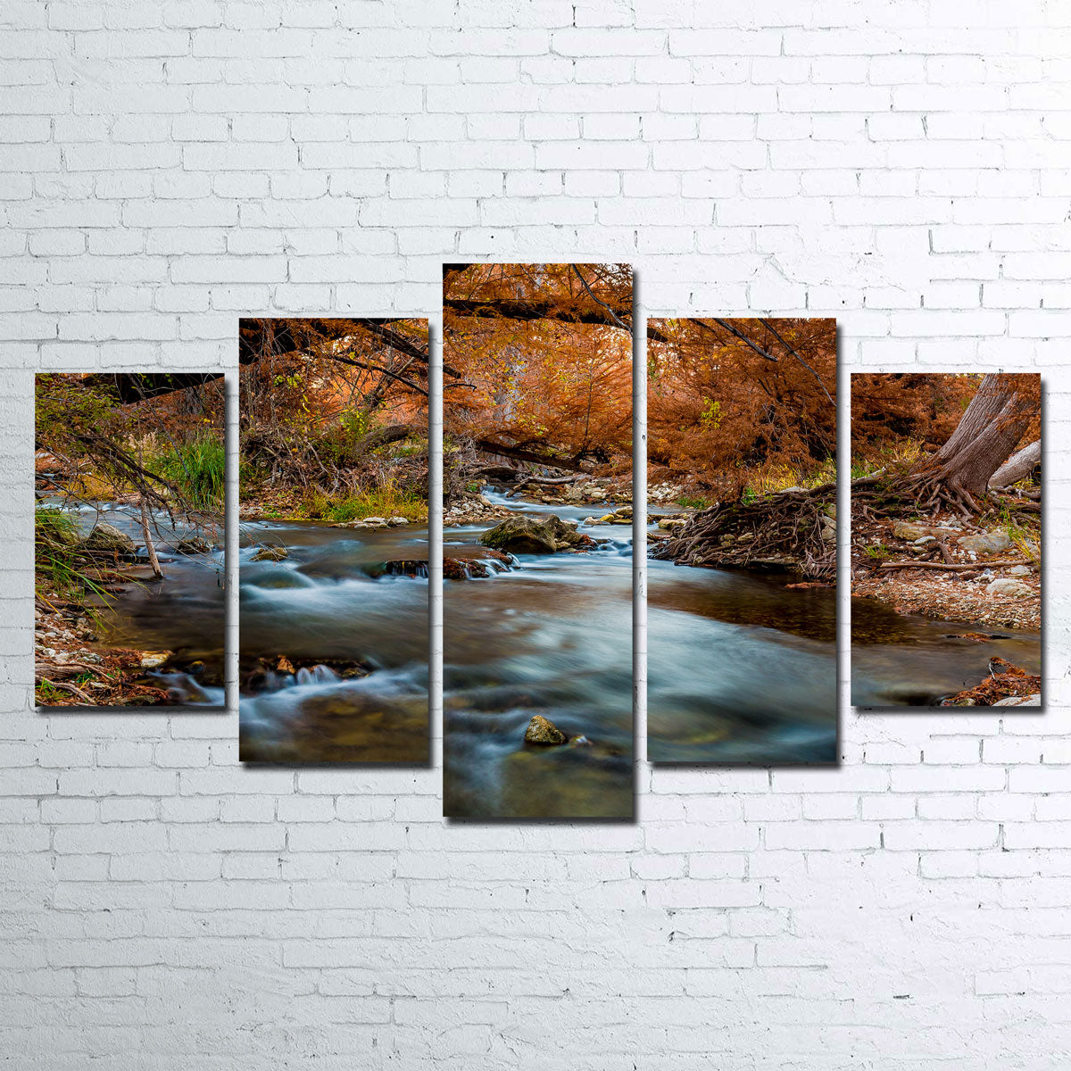 Silky Guadalupe River Wall Art