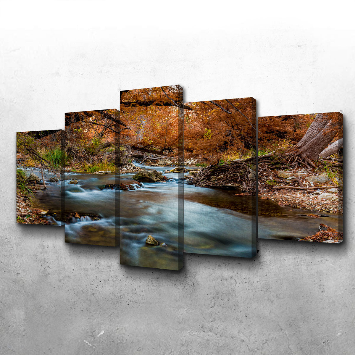 Silky Guadalupe River Wall Art