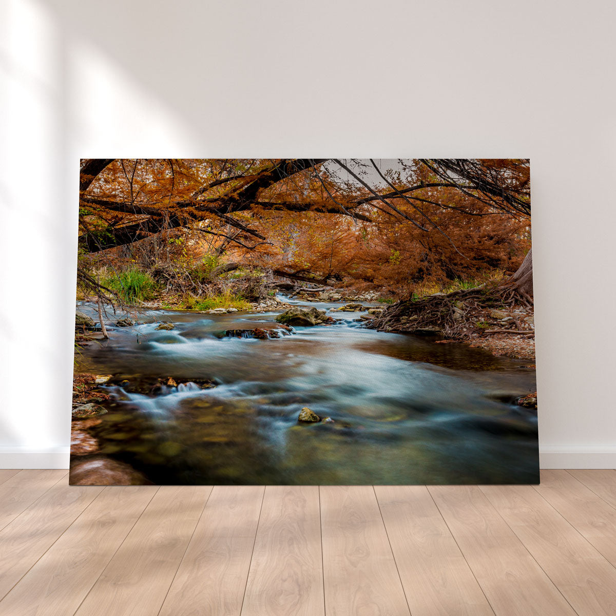 Silky Guadalupe River Wall Art