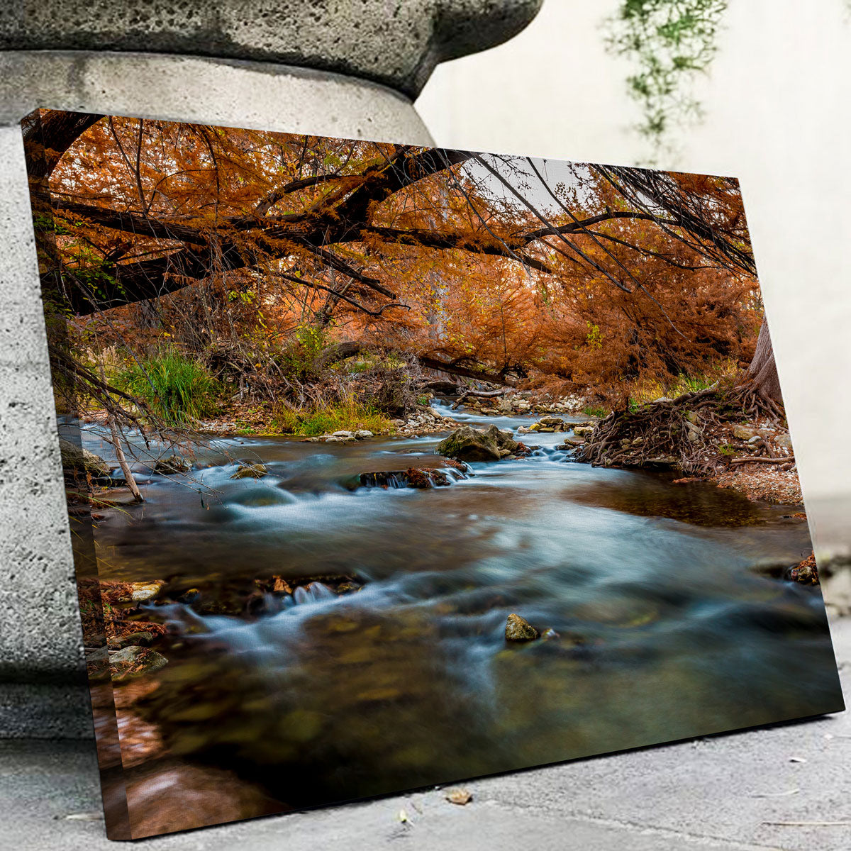 Silky Guadalupe River Wall Art