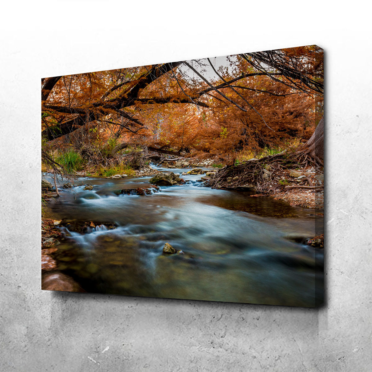 Silky Guadalupe River Wall Art