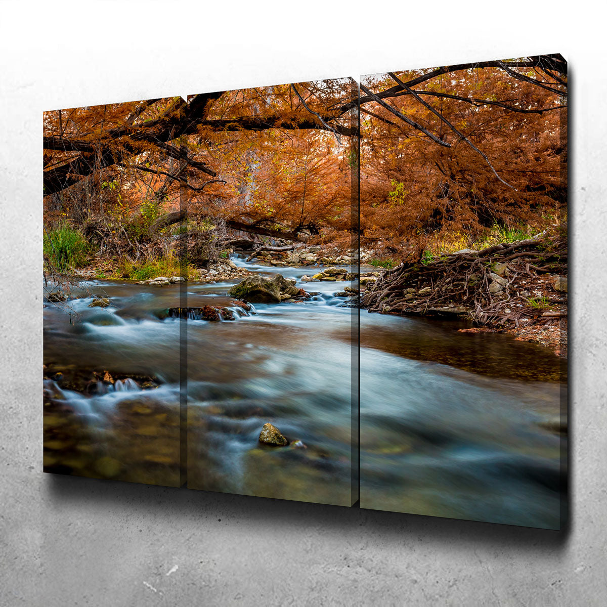 Silky Guadalupe River Wall Art