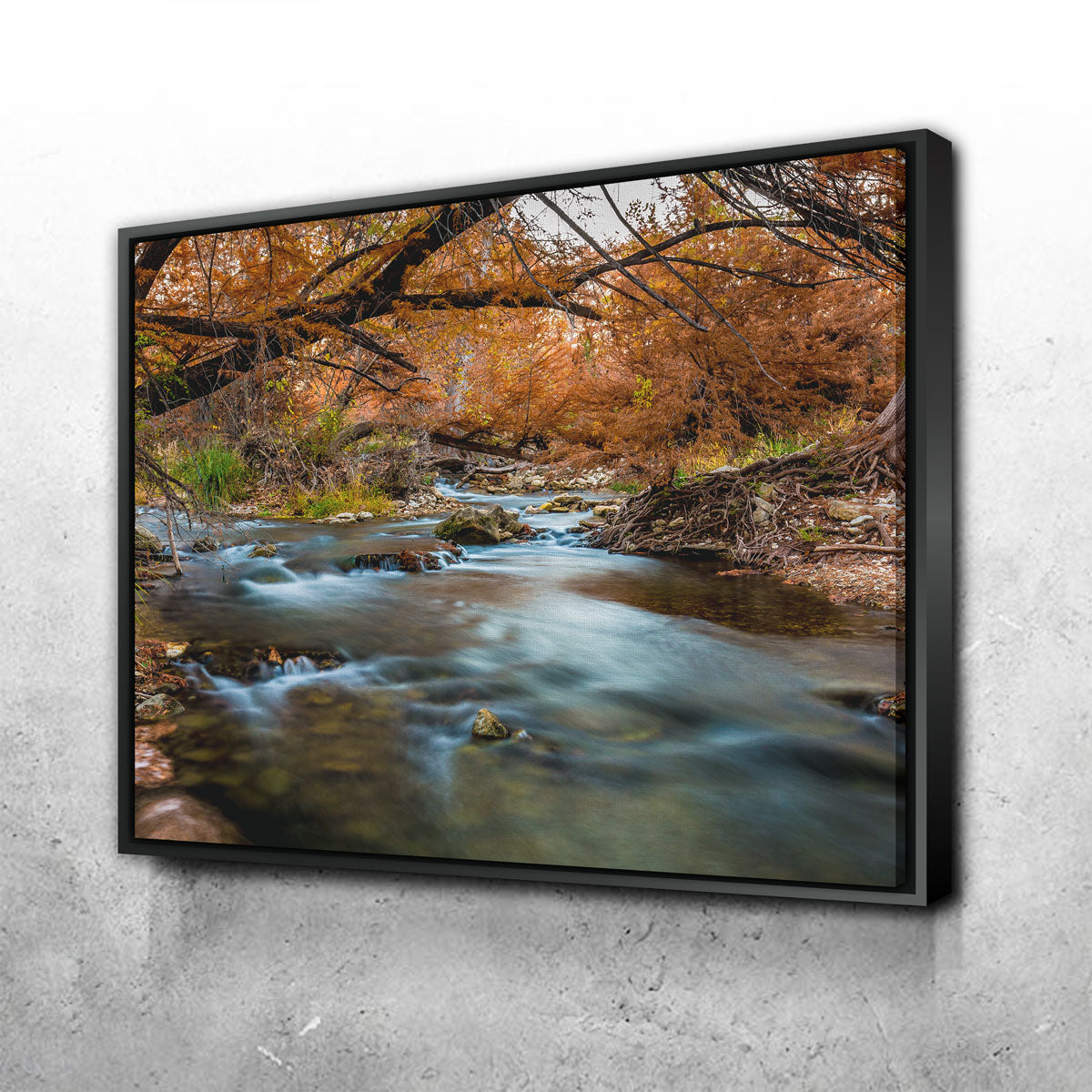Silky Guadalupe River Wall Art