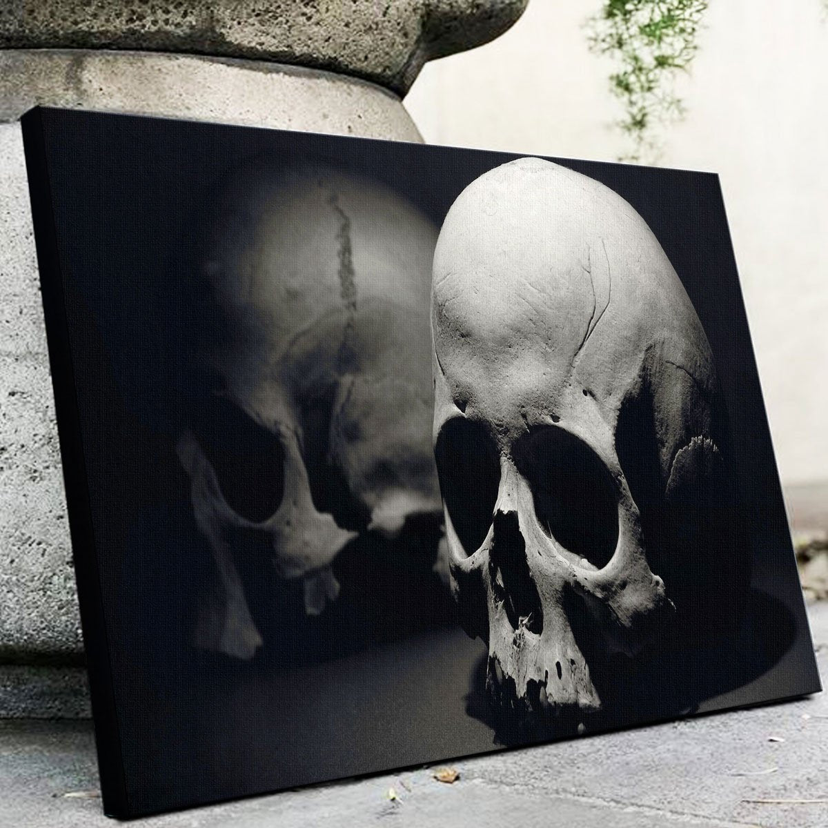 Skulls Wall Art
