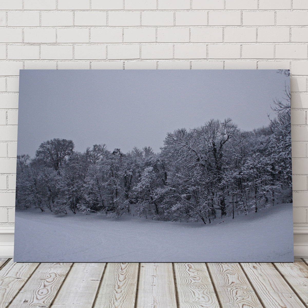 Snowy Stroll Wall Art