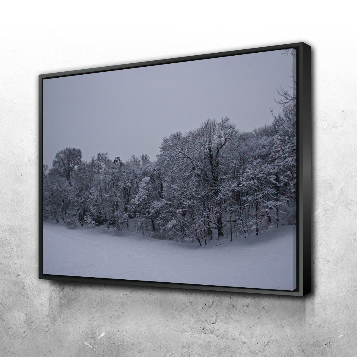 Snowy Stroll Wall Art