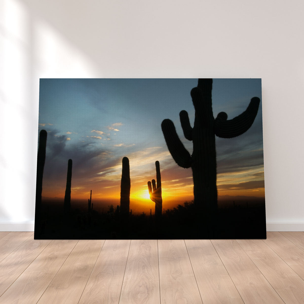 Sonoran Desert Sunset Wall Art