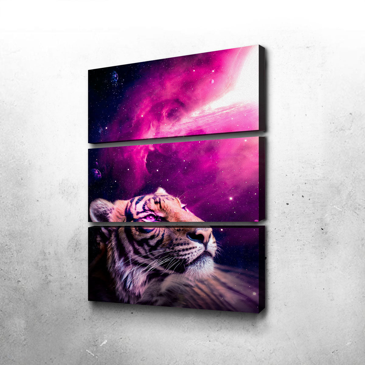 Space Tiger Wall Art