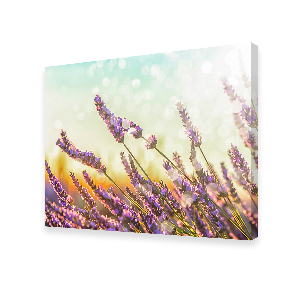 Sparkling Lavender Wall Art