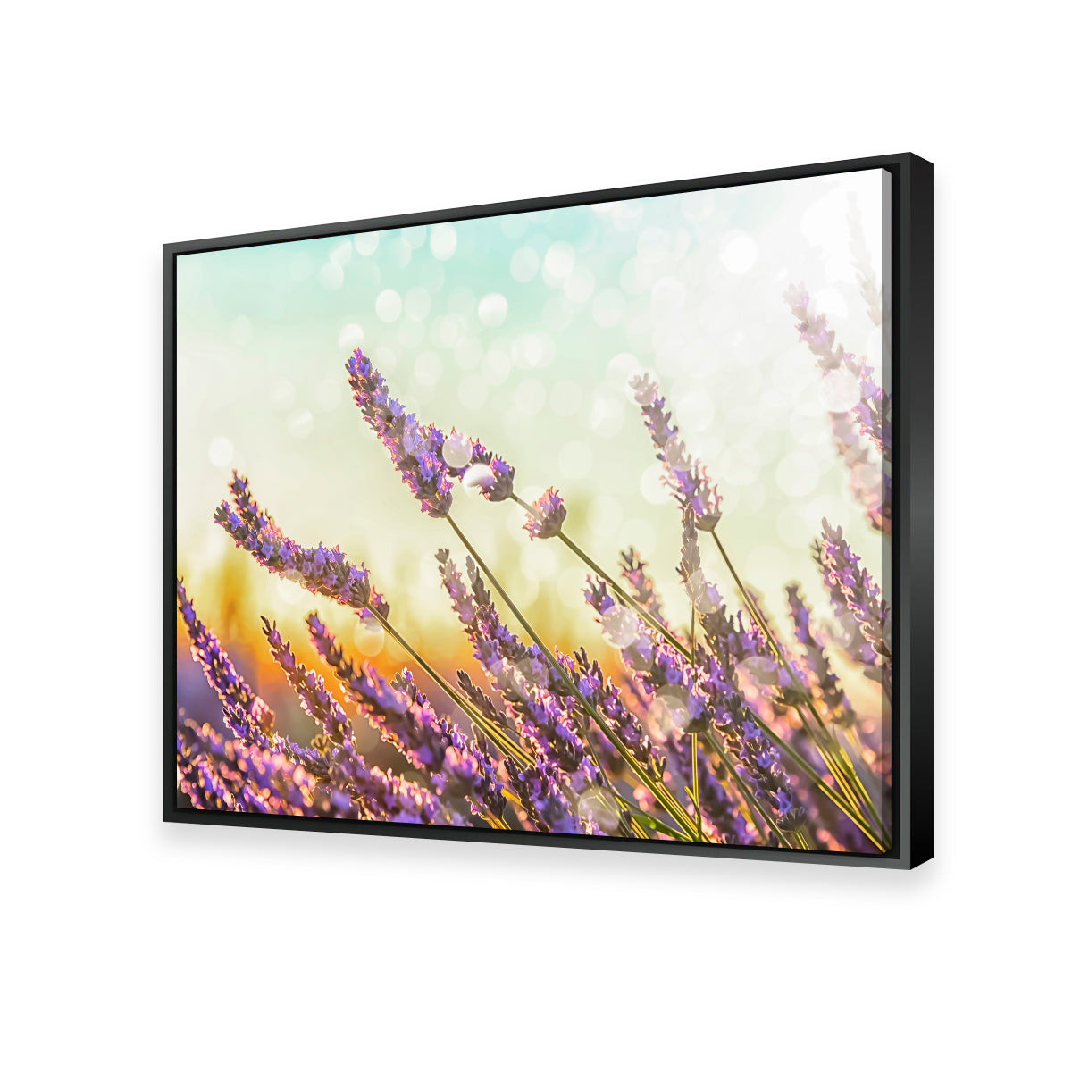 Sparkling Lavender Wall Art