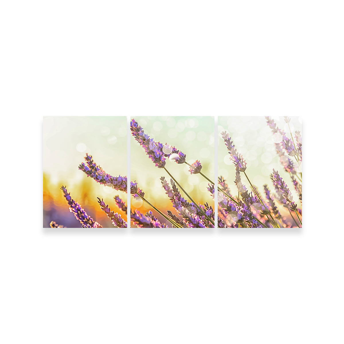 Sparkling Lavender Wall Art
