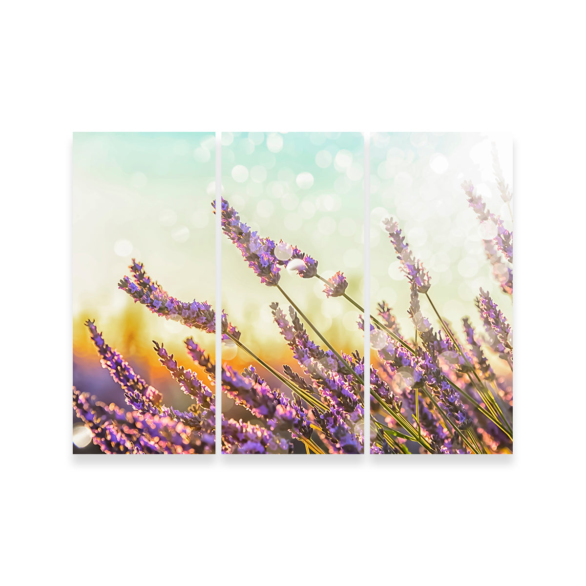 Sparkling Lavender Wall Art