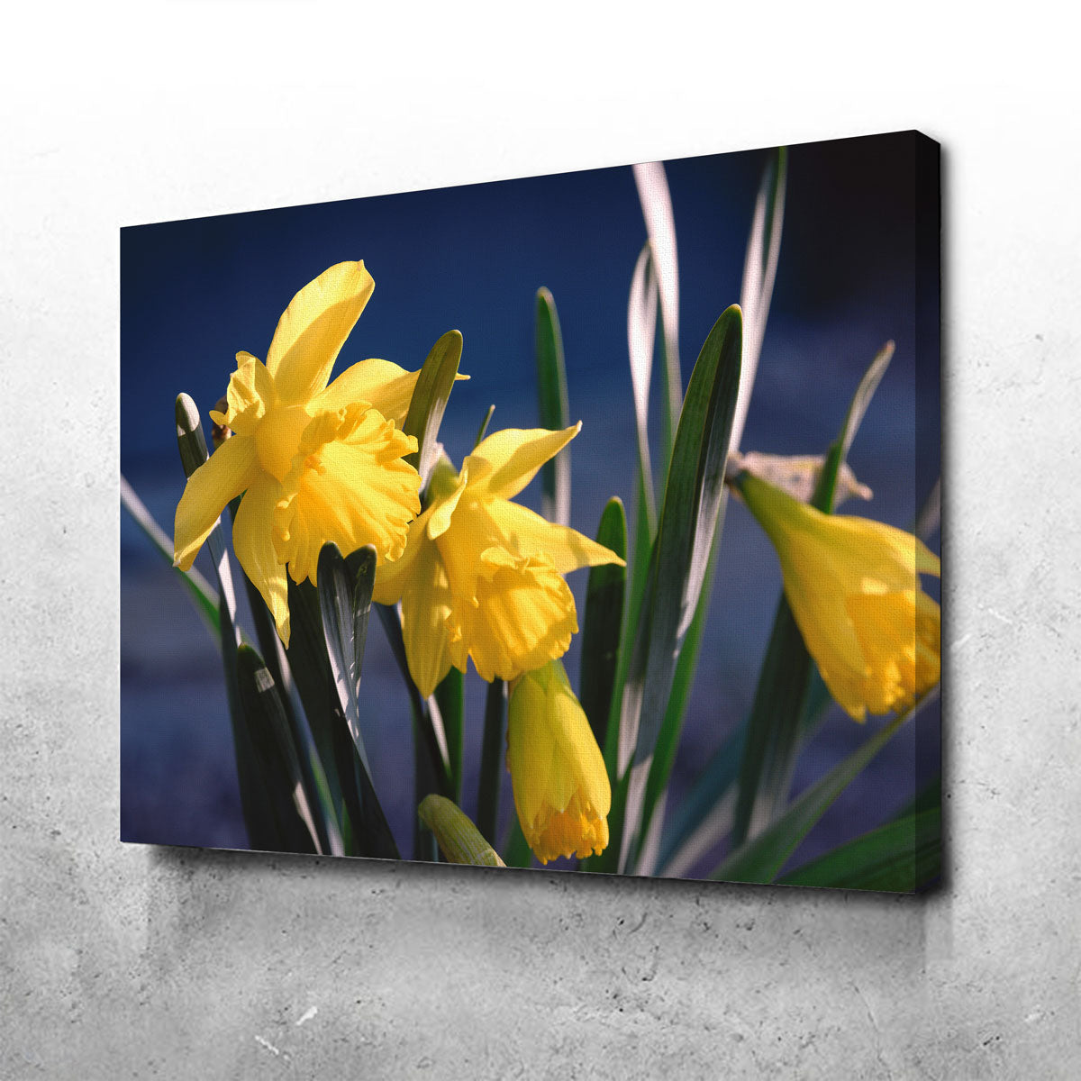 Spring Bloom