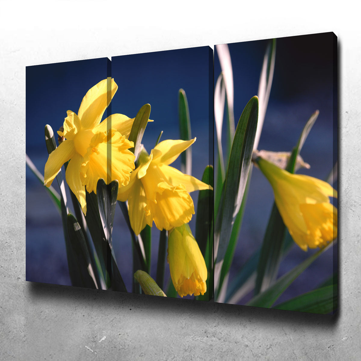 Spring Bloom