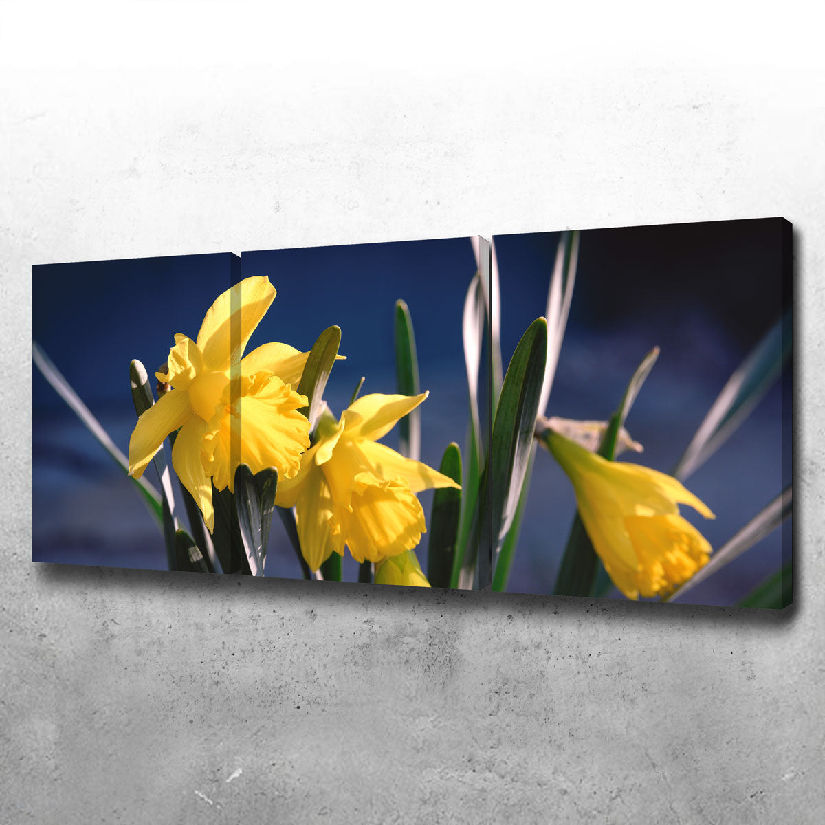 Spring Bloom