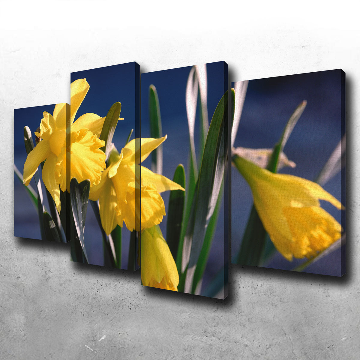 Spring Bloom
