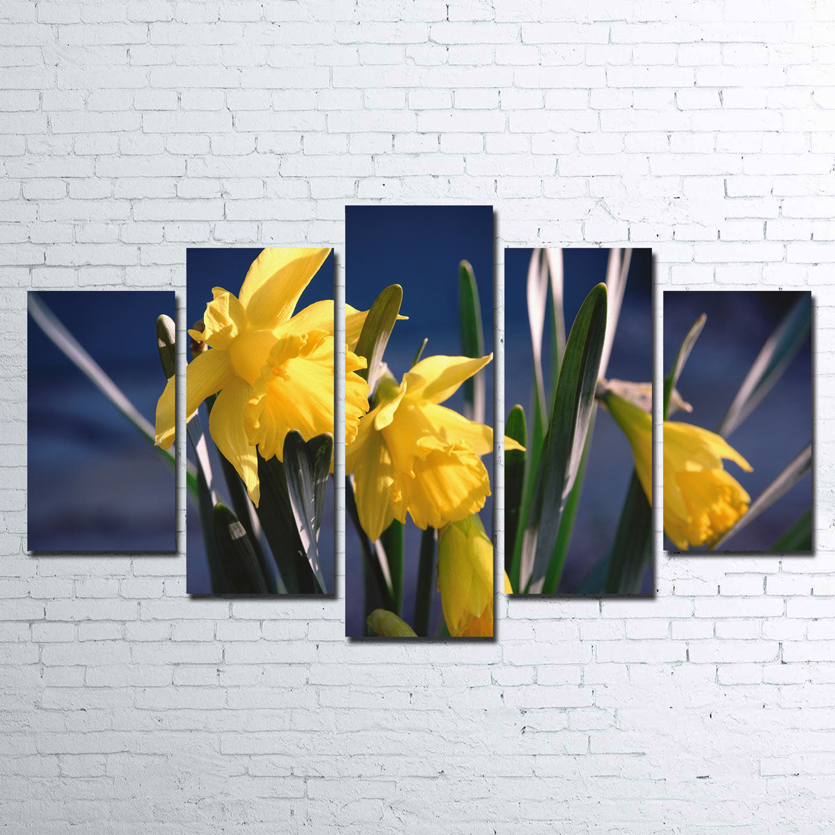 Spring Bloom